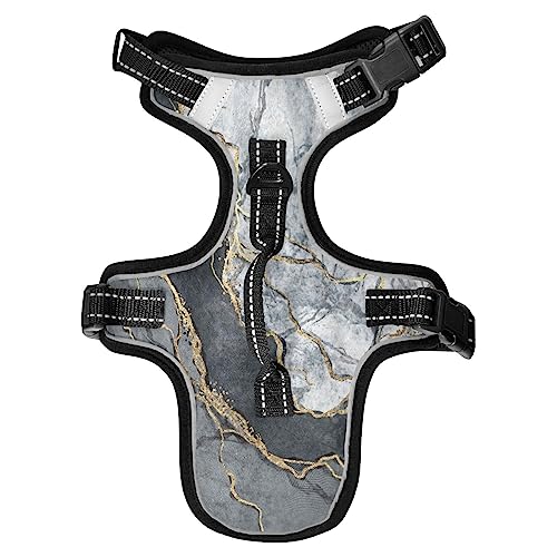No Pull Hundegeschirr für kleine Hunde, verstellbar, Haustierweste, Geschirr mit Leine, reflektierender Frontclip, Weste mit Griff, einfache Kontrolle, Hunde, Katzen, Outdoor, Spaziergänge, Goldstreifen No Pull Hundegeschirr für kleine Hunde, verstellbar, Haustierweste, Geschirr mit Leine, reflektierender Frontclip, Weste mit Griff, einfache Kontrolle, Hunde, Katzen, Outdoor, Spaziergänge, Goldstreifen von Caihoyu