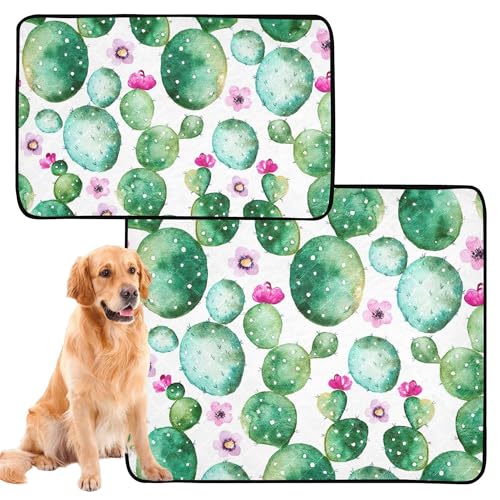 Urinierdecke für Hunde und Katzen, rutschfeste Bodenmatte für Autositz, 50,8 x 61 cm, Grün, Westernkaktus-Pflanze, 3 Stück Urinierdecke für Hunde und Katzen, rutschfeste Bodenmatte für Autositz, 50,8 x 61 cm, Grün, Westernkaktus-Pflanze, 3 Stück von Caihoyu