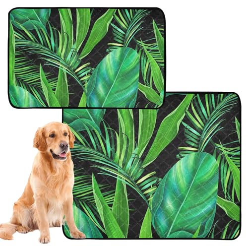 Urinierdecke für große Hunde, waschbar, rutschfest, für draußen, 50,8 x 61 cm, tropische Monstera-Palmenblätter, stilvoll, 3 Stück Urinierdecke für große Hunde, waschbar, rutschfest, für draußen, 50,8 x 61 cm, tropische Monstera-Palmenblätter, stilvoll, 3 Stück von Caihoyu