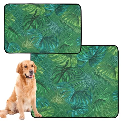 Uriniermatte für Hunde, waschbar, rutschfest, 50,8 x 61 cm, tropische Pflanzenblätter, Grün, 3 Stück Uriniermatte für Hunde, waschbar, rutschfest, 50,8 x 61 cm, tropische Pflanzenblätter, Grün, 3 Stück von Caihoyu