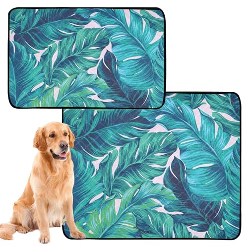 Uriniermatte für große Hunde, waschbar, rutschfest, 50,8 x 61 cm, künstlerische Palmen, tropisches Muster, 3 Stück Uriniermatte für große Hunde, waschbar, rutschfest, 50,8 x 61 cm, künstlerische Palmen, tropisches Muster, 3 Stück von Caihoyu