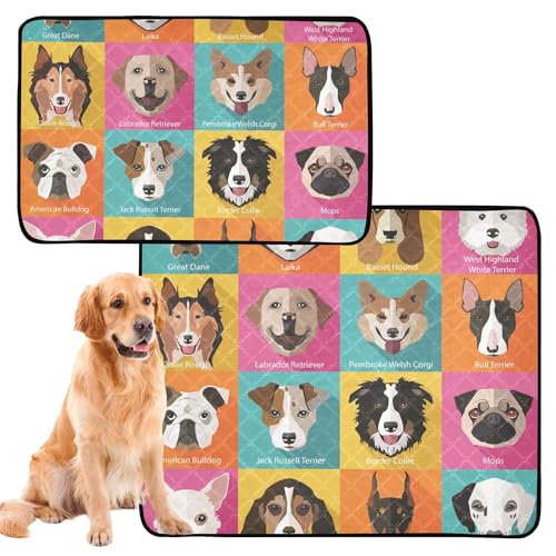 Uriniermatte für große Hunde, wiederverwendbar, rutschfeste Bodenmatte für Auto, 50,8 x 61 cm, flach, beliebte Rassen, niedliche Hunde, 3 Stück Uriniermatte für große Hunde, wiederverwendbar, rutschfeste Bodenmatte für Auto, 50,8 x 61 cm, flach, beliebte Rassen, niedliche Hunde, 3 Stück von Caihoyu