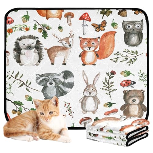 Wasserabsorbierende Matte für Hundenapf, Hundetablett für Urinierunterlagen, rutschfester Teppich für Haustierbett, 61 x 91,4 cm + 91,4 x 106,7 cm, niedliche Tiere, Aquarellbilder, Kindergarten, 2 Wasserabsorbierende Matte für Hundenapf, Hundetablett für Urinierunterlagen, rutschfester Teppich für Haustierbett, 61 x 91,4 cm + 91,4 x 106,7 cm, niedliche Tiere, Aquarellbilder, Kindergarten, 2 von Caihoyu