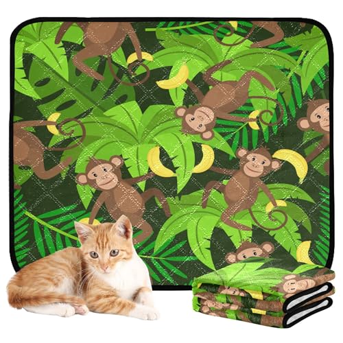 Wasserabsorbierende Matte für Hundenapf, Katze, Urinierunterlagen für Boden, rutschfester Teppich für Sofa, 50,8 x 61 cm, Affe, Bananen, Palmblätter, 3 Stück Wasserabsorbierende Matte für Hundenapf, Katze, Urinierunterlagen für Boden, rutschfester Teppich für Sofa, 50,8 x 61 cm, Affe, Bananen, Palmblätter, 3 Stück von Caihoyu