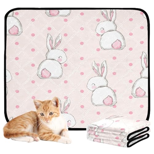 Wasserabsorbierende Matte für Hundenapf, Schlammmatten für Hunde, groß, waschbar, rutschfeste Matte für Auto und Flugzeug, 61 x 91,4 cm + 91,4 x 106,7 cm, Hase, Ostern, Cartoon, 2 Stück Wasserabsorbierende Matte für Hundenapf, Schlammmatten für Hunde, groß, waschbar, rutschfeste Matte für Auto und Flugzeug, 61 x 91,4 cm + 91,4 x 106,7 cm, Hase, Ostern, Cartoon, 2 Stück von Caihoyu