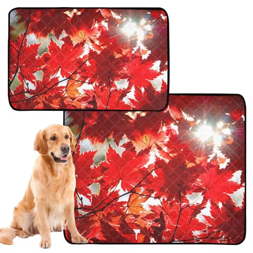 Wasserabsorbierende Matte für Hundenapf, Teppich für Hunde, schlammige Füße, waschbar, rutschfest, für Sofa, 61 x 91,4 cm + 91,4 x 106,7 cm, Herbst-Ornament, rote Pflanzenblätter, Ahorn, 2 Stück Wasserabsorbierende Matte für Hundenapf, Teppich für Hunde, schlammige Füße, waschbar, rutschfest, für Sofa, 61 x 91,4 cm + 91,4 x 106,7 cm, Herbst-Ornament, rote Pflanzenblätter, Ahorn, 2 Stück von Caihoyu