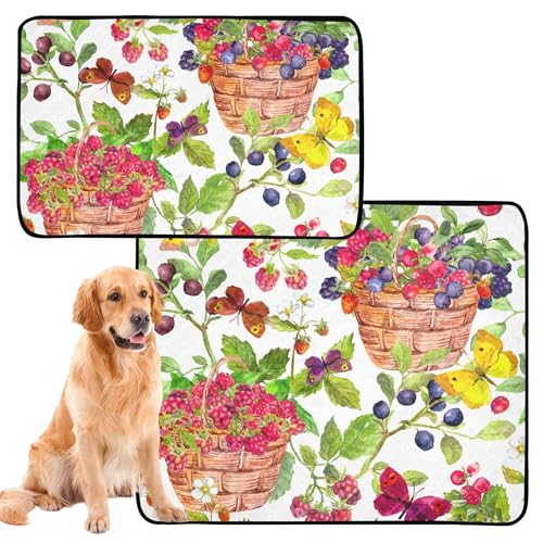 Wasserabsorbierende Matte für Hundenapf, schlammige Matten für Hunde, waschbar, rutschfeste Matte für Sofa, 50,8 x 61 cm, Sommerbeeren, Körbe, Blaubeere, Himbeere, 3 Stück Wasserabsorbierende Matte für Hundenapf, schlammige Matten für Hunde, waschbar, rutschfeste Matte für Sofa, 50,8 x 61 cm, Sommerbeeren, Körbe, Blaubeere, Himbeere, 3 Stück von Caihoyu