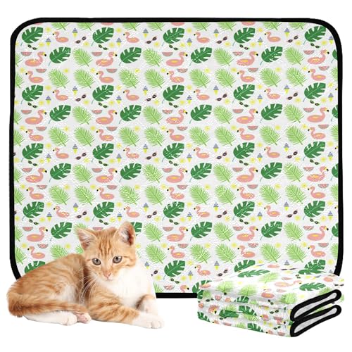 Wasserabsorbierende Matte für Hundenapf, waschbar, rutschfest, Bodenmatte für Haustierbett, 61 x 91,4 cm + 91,4 x 106,7 cm, Flamingo- und Bananenblätter, 2 Stück Wasserabsorbierende Matte für Hundenapf, waschbar, rutschfest, Bodenmatte für Haustierbett, 61 x 91,4 cm + 91,4 x 106,7 cm, Flamingo- und Bananenblätter, 2 Stück von Caihoyu