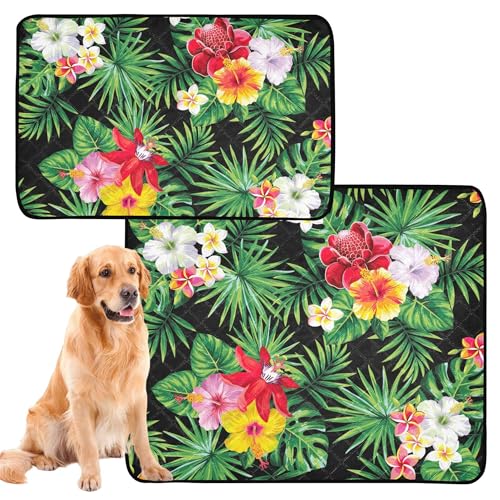 Wasserabsorbierende Matte für Hundenapf, waschbar, rutschfest, Teppich für Boden, 50,8 x 61 cm, tropisches Muster, Palmenblätter, Blumen, 3 Stück Wasserabsorbierende Matte für Hundenapf, waschbar, rutschfest, Teppich für Boden, 50,8 x 61 cm, tropisches Muster, Palmenblätter, Blumen, 3 Stück von Caihoyu
