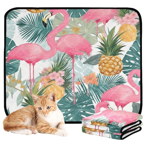 Wasserabsorbierende Matte für Hundenapf, waschbar, rutschfest, für Strand, 50,8 x 61 cm, Flamingo, Ananas und Pflanzentiere, 3 Stück Wasserabsorbierende Matte für Hundenapf, waschbar, rutschfest, für Strand, 50,8 x 61 cm, Flamingo, Ananas und Pflanzentiere, 3 Stück von Caihoyu