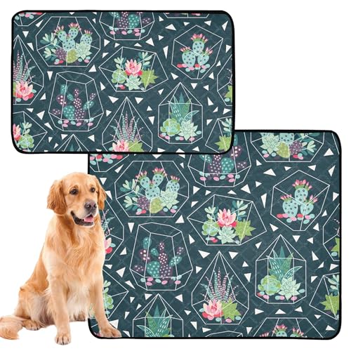 Wasserabsorbierende Matte für Hundenapf, waschbar, rutschfeste Matte für Auto und Flugzeug, 61 x 91,4 cm + 91,4 x 106,7 cm, Sukkulenten, Kakteen, Tusche Mexicana, 2 Stück Wasserabsorbierende Matte für Hundenapf, waschbar, rutschfeste Matte für Auto und Flugzeug, 61 x 91,4 cm + 91,4 x 106,7 cm, Sukkulenten, Kakteen, Tusche Mexicana, 2 Stück von Caihoyu