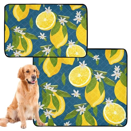 Wasserabsorbierende Matte für Hundenapf, waschbar, rutschfeste Matte für Hunde für den Innenbereich, 61 x 91,4 cm + 91,4 x 106,7 cm, Gold, Zitronenfrüchte, Blumen und Blätter, blaue Zitrusfrüchte, 2 Wasserabsorbierende Matte für Hundenapf, waschbar, rutschfeste Matte für Hunde für den Innenbereich, 61 x 91,4 cm + 91,4 x 106,7 cm, Gold, Zitronenfrüchte, Blumen und Blätter, blaue Zitrusfrüchte, 2 von Caihoyu