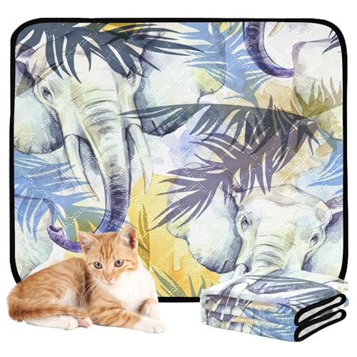 Wasserabsorbierende Matte für Hundenapf, wiederverwendbar, rutschfest, Teppich für Auto, 61 x 91,4 cm + 91,4 x 106,7 cm, Palmblätter, Elefantenwälder, 2 Stück Wasserabsorbierende Matte für Hundenapf, wiederverwendbar, rutschfest, Teppich für Auto, 61 x 91,4 cm + 91,4 x 106,7 cm, Palmblätter, Elefantenwälder, 2 Stück von Caihoyu