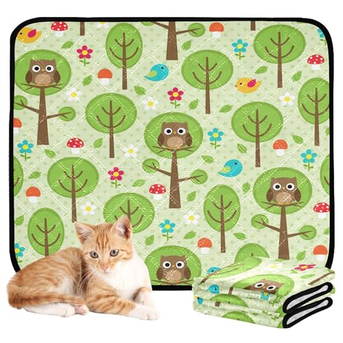 Wasserabsorbierende Matte für Hundenapf, wiederverwendbare Urinierunterlagen für Hunde, rutschfester Teppich für Autositz, 61 x 91,4 cm + 91,4 x 106,7 cm, Wälder mit Eulen, Pilzen, 2 Stück Wasserabsorbierende Matte für Hundenapf, wiederverwendbare Urinierunterlagen für Hunde, rutschfester Teppich für Autositz, 61 x 91,4 cm + 91,4 x 106,7 cm, Wälder mit Eulen, Pilzen, 2 Stück von Caihoyu