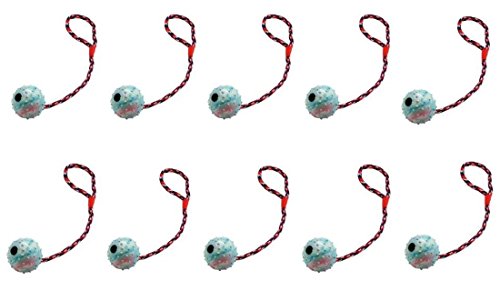 Cajou Ball am Seil Wurfball Schleuderball für Hunde Hundeball mit Wurfschlaufe (10 Stück) Cajou Ball am Seil Wurfball Schleuderball für Hunde Hundeball mit Wurfschlaufe (10 Stück) von Cajou