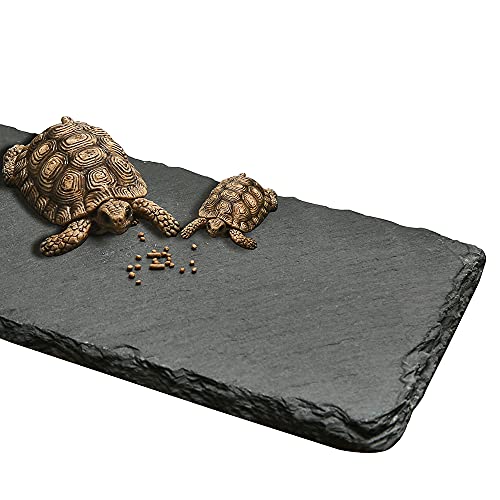 Cakocaco Schildkröte Basking Plattform Badebereich Reptilien Haustier Ruheterrasse Schildkröte Futternapf Schale Felsplatte leicht zu schleifen Nägel (2 Stück) von Cakocaco
