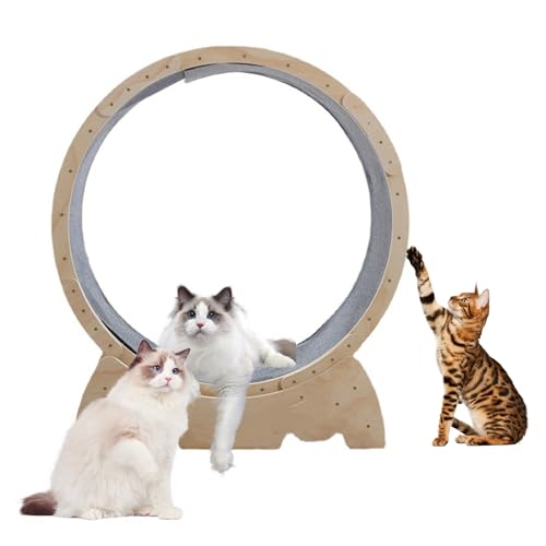Calager Katzenlaufrad, 44-Zoll-Katzenlaufrad für Hauskatzen,Katzenlaufrad mit Teppichlaufbahn,hölzernes Katzenlaufband,Haustierübungs-Fitnessgerät zur Gewichtsreduktion für Kätzchen (Hölzern) von Calager