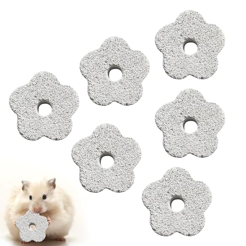 Kauspielzeug für Hamster, Meerschweinchen, Kaninchen, Papageien, Kauspielzeug, Zahnpflege, Mineralstein für Hamster, Meerschweinchen, Kaninchen, Papageien, Kaublock, Snacks, 6 Stück von Caldamn
