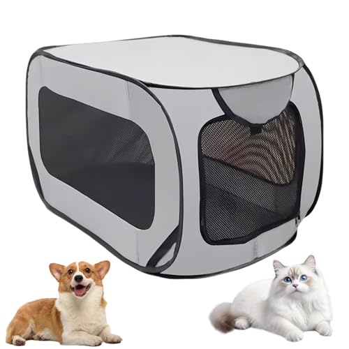 Tragbarer Käfig für Hunde und Katzen im Auto, Hundebox Faltbar Welpenauslauf Faltbar Laufstall Hund, Haustier-Laufstall für Kleine Hunde Katzen Kleintiere im Auto Drinnen Draußen, 94 x 53 x 53 cm Tragbarer Käfig für Hunde und Katzen im Auto, Hundebox Faltbar Welpenauslauf Faltbar Laufstall Hund, Haustier-Laufstall für Kleine Hunde Katzen Kleintiere im Auto Drinnen Draußen, 94 x 53 x 53 cm von Calenxy