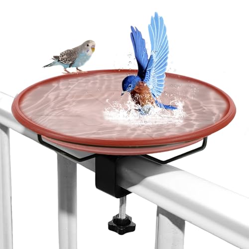 Vogeltränke Balkon Groß, Vogeltränke Hängend Frostsicher für Balkongeländer, Vogelbad für Balkon und Garten, Wildvogeltränke Winterfest Außen, Vogelbad für Wildvögel Vogeltränke Balkon Groß, Vogeltränke Hängend Frostsicher für Balkongeländer, Vogelbad für Balkon und Garten, Wildvogeltränke Winterfest Außen, Vogelbad für Wildvögel von Calenxy