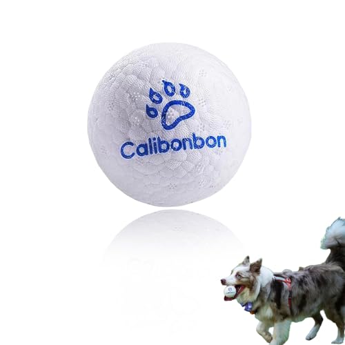 Calibonbon Langlebige Hunde-Kaubälle – unzerstörbare Tennisbälle für aggressive Kauer, Zahnspielzeug für Welpen, mittelgroße und große Hunde, interaktives Hüpf-Wasserspielzeug (1 Ball) von Calibonbon