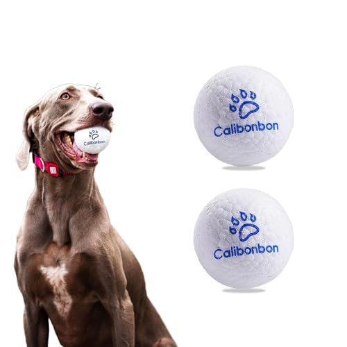 Calibonbon Langlebige Hunde-Kaubälle – unzerstörbare Tennisbälle für aggressive Kauer, Zahnspielzeug für Welpen, mittelgroße und große Hunde, interaktives Hüpf-Wasserspielzeug (2 Bälle) von Calibonbon
