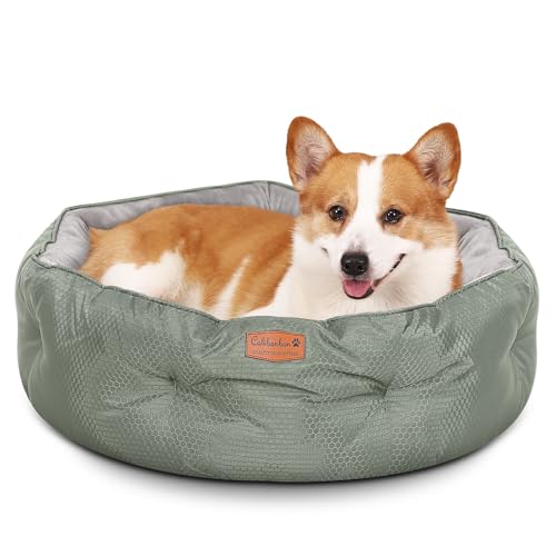 Wendbare mittelgroße Hundebetten für mittelgroße Hunde – runde, doppelseitige Hundebetten für kleine Hunde und Katzen, waschbares Hundebett für Welpen und Kätzchen mit rutschfester Unterseite (Grau, Wendbare mittelgroße Hundebetten für mittelgroße Hunde – runde, doppelseitige Hundebetten für kleine Hunde und Katzen, waschbares Hundebett für Welpen und Kätzchen mit rutschfester Unterseite (Grau, von Calibonbon