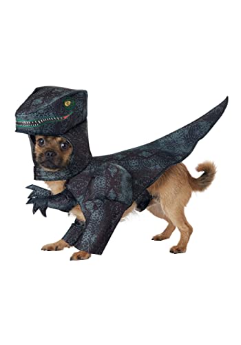 CALIFORNIA COSTUME COLLECTIONS Hund Pupasaurus Rex Kostüm groß von California Costumes