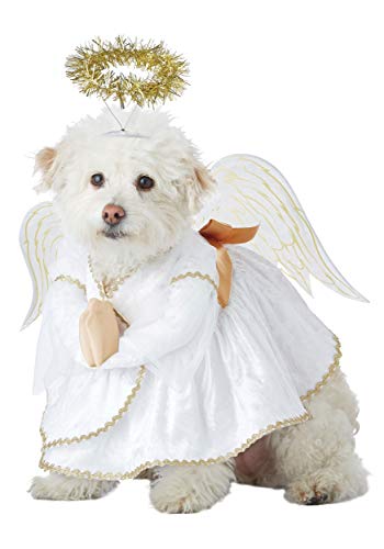 California Costume Collections Pet Heavenly Hound Hundekostüm, Weiß/Gold, S Halsumfang 12-14, Umfang 16-20 von California Costumes