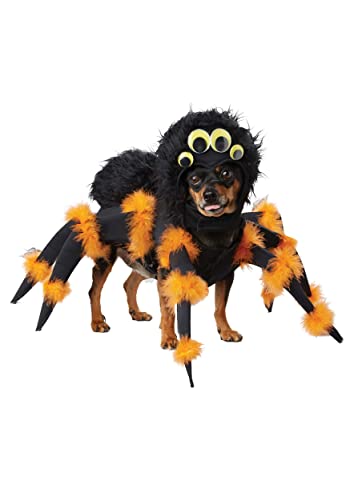 California Costumes Hundekostüm im Spinnen-Look, Schwarz/Orange, Größe M von California Costumes
