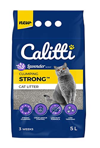 Calitti Katzenstreu Klumpstreu ohne Duft | 100% natürlichem Bentonit mit frischem Lavendelduft | 3 Wochen - 5L Calitti Katzenstreu Klumpstreu ohne Duft | 100% natürlichem Bentonit mit frischem Lavendelduft | 3 Wochen - 5L von Calitti