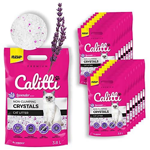 Calitti - Silikat Katzenstreu | Premium Crystals Silikatstreu | Antibakteriell Katzensand mit frischem Lavendelduft | 16-er Set 16 x 3,8 L = 60 L von Calitti