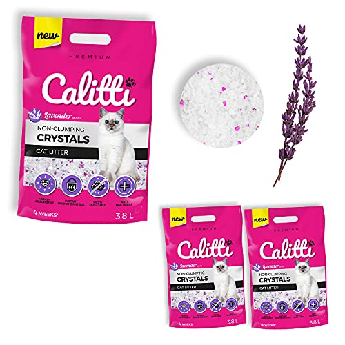 Calitti - Silikat Katzenstreu | Premium Crystals Silikatstreu | Antibakteriell Katzensand mit frischem Lavendelduft | 2-er Set 2 x 3,8 L = 7,6 L Calitti - Silikat Katzenstreu | Premium Crystals Silikatstreu | Antibakteriell Katzensand mit frischem Lavendelduft | 2-er Set 2 x 3,8 L = 7,6 L von Calitti