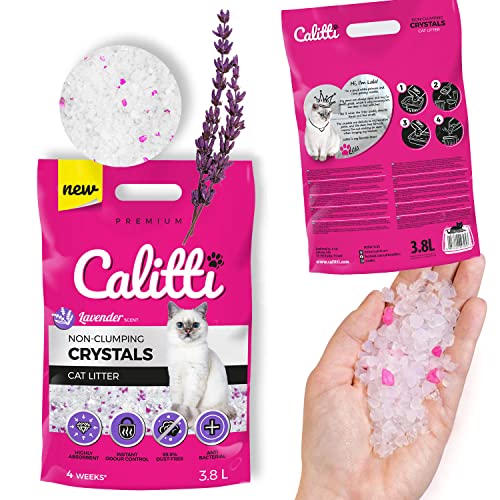 Calitti - Silikat Katzenstreu | Premium Crystals Silikatstreu | Antibakteriell Katzensand mit frischem Lavendelduft | 3,8 L von Calitti