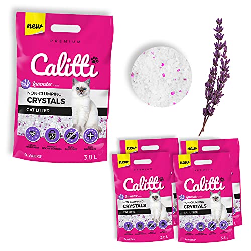 Calitti - Silikat Katzenstreu | Premium Crystals Silikatstreu | Antibakteriell Katzensand mit frischem Lavendelduft | 4-er Set 4 x 3,8 L = 15 L Calitti - Silikat Katzenstreu | Premium Crystals Silikatstreu | Antibakteriell Katzensand mit frischem Lavendelduft | 4-er Set 4 x 3,8 L = 15 L von Calitti