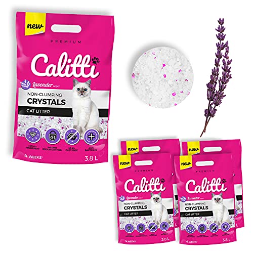 Calitti - Silikat Katzenstreu | Premium Crystals Silikatstreu | Antibakteriell Katzensand mit frischem Lavendelduft | 4-er Set 4 x 3,8 L = 15 L von Calitti