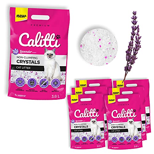 Calitti - Silikat Katzenstreu | Premium Crystals Silikatstreu | Antibakteriell Katzensand mit frischem Lavendelduft | 6-er Set 6 x 3,8 L = 22 L von Calitti