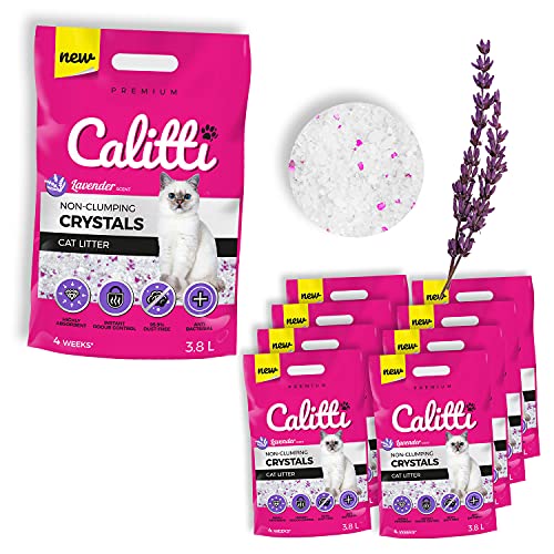Calitti - Silikat Katzenstreu | Premium Crystals Silikatstreu | Antibakteriell Katzensand mit frischem Lavendelduft | 8-er Set 8 x 3,8 L = 30 L von Calitti