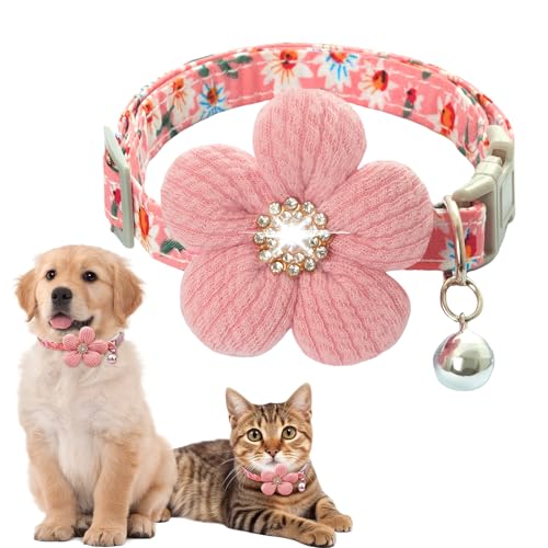 Calkkrer Rosa Katze Hundehalsband mit Blume, Puppehalsband für Mädchenhunde, Hundehalsband mit Glocke, verstellbare Länge. Katzenhalsband, für kleine Katzen. von Calkkrer
