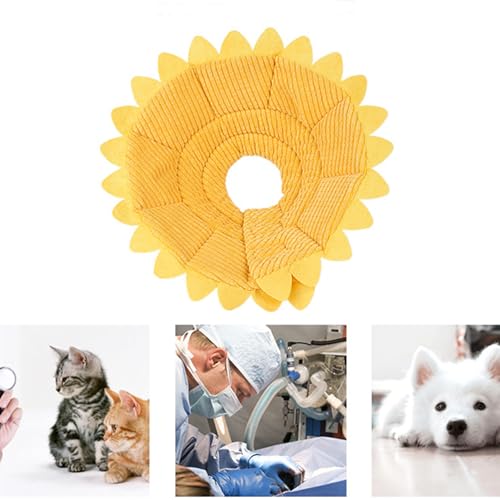 Haustier-Erholungshalsband, Schützender Donut-Kegel, Verstellbares, Niedliches, Blumenförmiges Katzen- und Hundehalsband für Hunde und Katzen nach Operationen, Verhindert Beißen und Kratzen Haustier-Erholungshalsband, Schützender Donut-Kegel, Verstellbares, Niedliches, Blumenförmiges Katzen- und Hundehalsband für Hunde und Katzen nach Operationen, Verhindert Beißen und Kratzen von Callicarpa