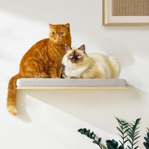 Extra große 59,9 cm × 32 cm Katzen-Wandregale mit weichem Kissen - Wandmontierte Katzenmöbel, stabile Katzenhängematte zum Schlafen & Klettern - Sichere Sitzstange für große Katzen & Kätzchen - Flache Extra große 59,9 cm × 32 cm Katzen-Wandregale mit weichem Kissen - Wandmontierte Katzenmöbel, stabile Katzenhängematte zum Schlafen & Klettern - Sichere Sitzstange für große Katzen & Kätzchen - Flache von Callico Haven