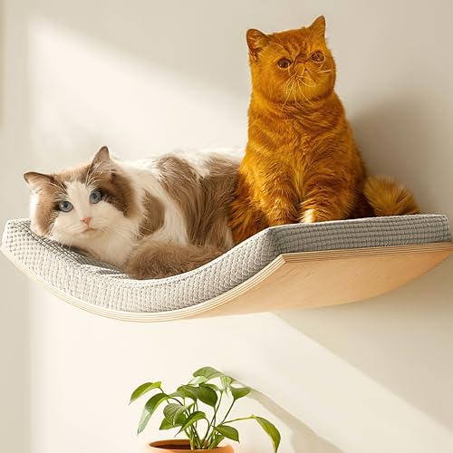 Extra große 59,9 cm × 37,1 cm Katzen-Wandregale mit gebogenem Design – Stabile Wandmontierte Katzenmöbel, Katzenhängematte zum Ausruhen & Faulenzen – Platzsparendes Katzenbett für große Katzen Extra große 59,9 cm × 37,1 cm Katzen-Wandregale mit gebogenem Design – Stabile Wandmontierte Katzenmöbel, Katzenhängematte zum Ausruhen & Faulenzen – Platzsparendes Katzenbett für große Katzen von Callico Haven