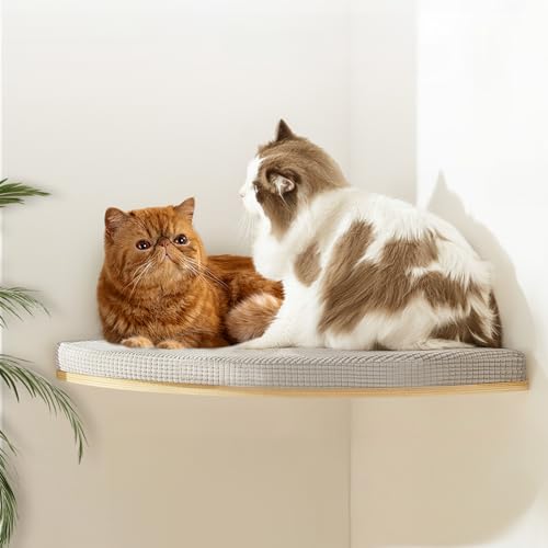 Große 25.0 cm Katzenwandregale für kleine Räume - Kompakte Wandmöbel - Eckwandhängematte zum Klettern & Faulenzen - Platzsparende Katzenbett Wand mit weichem Kissen für Kätzchen - Fächerform Große 25.0 cm Katzenwandregale für kleine Räume - Kompakte Wandmöbel - Eckwandhängematte zum Klettern & Faulenzen - Platzsparende Katzenbett Wand mit weichem Kissen für Kätzchen - Fächerform von Callico Haven