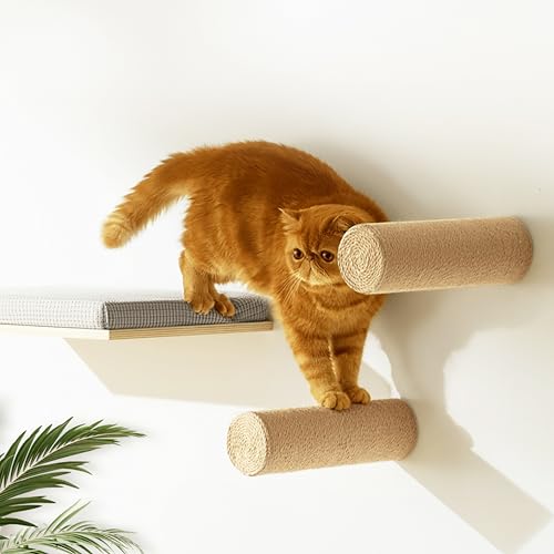 Wandmontierte Kletterwand Katze - 2er-Pack Wandregale mit Jute-Kratzfläche, Katzenwandmöbel aus Holz zum Klettern, Kratzen und Spielen, ideal für Kätzchen und erwachsene Katzen Wandmontierte Kletterwand Katze - 2er-Pack Wandregale mit Jute-Kratzfläche, Katzenwandmöbel aus Holz zum Klettern, Kratzen und Spielen, ideal für Kätzchen und erwachsene Katzen von Callico Haven