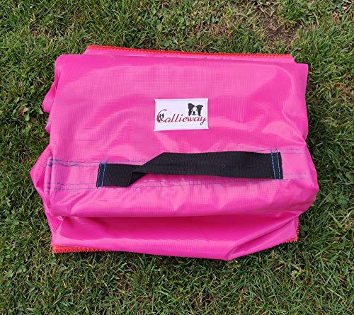 Callieway Premium Dog Agility Tunnel Stützsandsack mit Anti-Rutschsystem für Agility Tunnel mit 80cmØ (ohne Tunnel) (Fuchsia / 80cm / Single) von Callieway