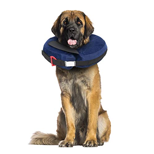 Calm Paws Behavior Support Aufblasbares Schutzhalsband, Größe XL mit Beruhigungsscheibe für Hunde von Calm Paws Behavior Support