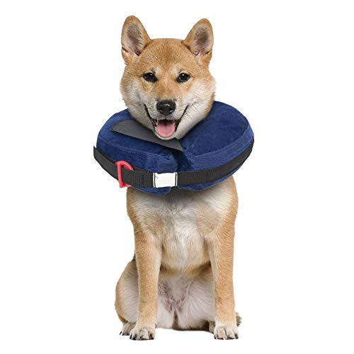 Calm Paws Behavior Support Schützendes aufblasbares Halsband mit Beruhigungsscheibe für Hunde, Größe M von Calm Paws Behavior Support