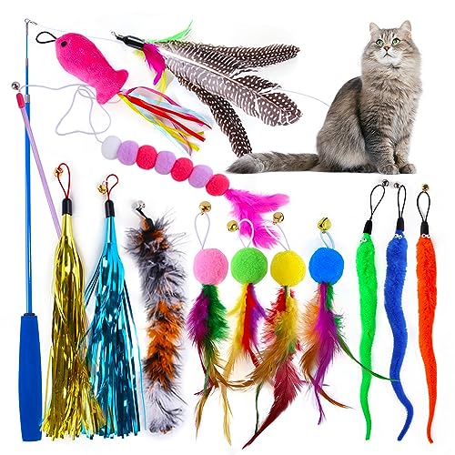 CalmGeek 14 Stück Katzenspielzeug, Interaktives Katzenspielzeug Set, Raupenfeder, Ersatzkopf, bunter Haarball, Quaste, einziehbare Angelrute, lustiger Katzenstab CalmGeek 14 Stück Katzenspielzeug, Interaktives Katzenspielzeug Set, Raupenfeder, Ersatzkopf, bunter Haarball, Quaste, einziehbare Angelrute, lustiger Katzenstab von CalmGeek