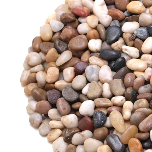 Calofulston 1 kg Drainagesteine für Topfpflanzen, 1,27 cm, kleine Kieselsteine für Pflanzen, Aquarium, Aquarium, Aquarium, Terrarium, Sukkulenten, Vasen, dekorativer Erbskies, gemischte Farben Calofulston 1 kg Drainagesteine für Topfpflanzen, 1,27 cm, kleine Kieselsteine für Pflanzen, Aquarium, Aquarium, Aquarium, Terrarium, Sukkulenten, Vasen, dekorativer Erbskies, gemischte Farben von Calofulston