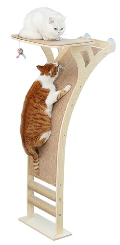 Katzen-Fensterstange mit Kratzrampe, Kletterbaum, Saugnäpfe bis zu 20,4 kg, Holz-Fensterregal für kleine, mittelgroße Indoor-Katzen Katzen-Fensterstange mit Kratzrampe, Kletterbaum, Saugnäpfe bis zu 20,4 kg, Holz-Fensterregal für kleine, mittelgroße Indoor-Katzen von Caloreduce